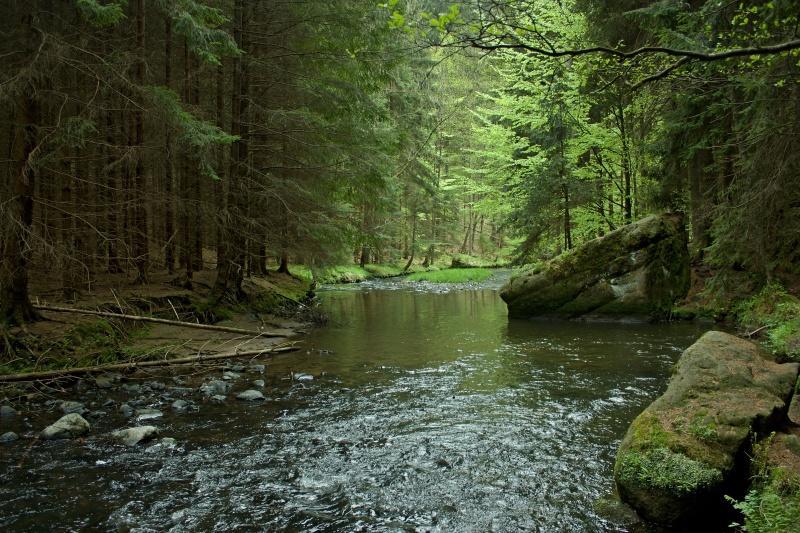 Ubytovani U Potoka Kunratice  ภายนอก รูปภาพ